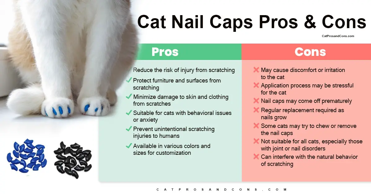 cat-nail-caps-pros-and-cons